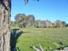120 Grahamstown Road, Adelong, NSW 2729-Image