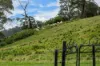 120 Tullouch Road, Broughton Vale NSW 2535-Image