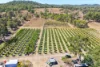 1207 Tanby Road, Tanby, Qld 4703-Image