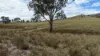 1213 Mole River Road, Tenterfield, NSW 2372-Image