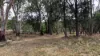1213 Mole River Road, Tenterfield, NSW 2372-Image