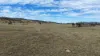 1213 Mole River Road, Tenterfield, NSW 2372-Image