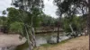 1213 Mole River Road, Tenterfield, NSW 2372-Image