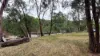 1213 Mole River Road, Tenterfield, NSW 2372-Image