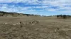 1213 Mole River Road, Tenterfield, NSW 2372-Image