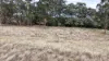 1213 Mole River Road, Tenterfield, NSW 2372-Image