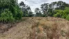 1213 Mole River Road, Tenterfield, NSW 2372-Image