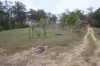 1215 Rivertree Road, Liston, NSW 2372-Image