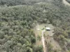 1215 Rivertree Road, Liston, NSW 2372-Image