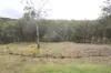 1215 Rivertree Road, Liston, NSW 2372-Image