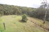 1215 Rivertree Road, Liston, NSW 2372-Image