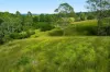 12181 Clarence Way, Sandilands NSW 2469-Image