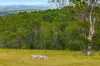 12181 Clarence Way, Sandilands NSW 2469-Image
