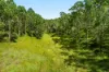 12181 Clarence Way, Sandilands NSW 2469-Image