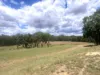 122 Dows Lane, Coonabarabran, NSW 2357-Image