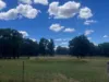 122 Dows Lane, Coonabarabran, NSW 2357-Image