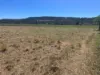 122 Paulsens Road, Gowrie Junction QLD 4352-Image