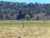 122 Paulsens Road, Gowrie Junction QLD 4352-Image