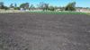 122 Paulsens Road, Gowrie Junction QLD 4352-Image