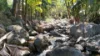 122 Pittionis Road, Netherdale QLD 4756-Image