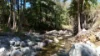 122 Pittionis Road, Netherdale QLD 4756-Image