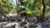 122 Pittionis Road, Netherdale QLD 4756-Image