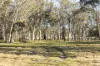 122 Shale Lane, High Range, NSW 2575-Image