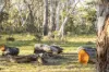 122 Shale Lane, High Range, NSW 2575-Image