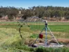 1228 Woodlands Road, Glen Cairn QLD 4342-Image