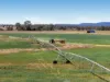 1228 Woodlands Road, Glen Cairn QLD 4342-Image