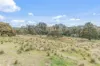 1231 Sunny Corner Road, Sunny Corner, NSW 2795-Image