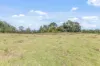 1231 Sunny Corner Road, Sunny Corner, NSW 2795-Image