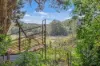 1231 Sunny Corner Road, Sunny Corner, NSW 2795-Image