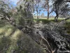 1234 Staehrs Road, Laharum, Vic 3401-Image