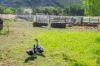 1235 Kangarooby Road, Gooloogong, NSW 2805-Image