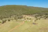 1235 Kangarooby Road, Gooloogong, NSW 2805-Image