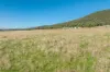 1235 Kangarooby Road, Gooloogong, NSW 2805-Image