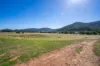 1235 Kangarooby Road, Gooloogong, NSW 2805-Image