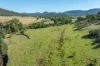 1235 Kangarooby Road, Gooloogong, NSW 2805-Image