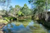 1235 Kangarooby Road, Gooloogong, NSW 2805-Image