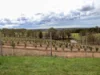 1236 Canyonleigh Road, Brayton, NSW 2579-Image