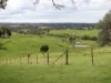 1236 Canyonleigh Road, Brayton, NSW 2579-Image