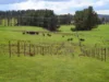 1236 Canyonleigh Road, Brayton, NSW 2579-Image