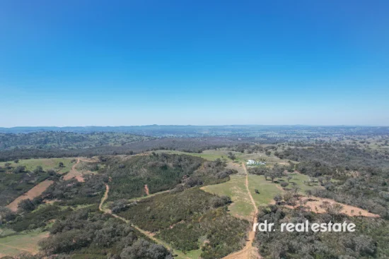 1237 Horton Road, Upper Horton, NSW 2347