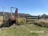 1237 Horton Road, Upper Horton, NSW 2347-Image
