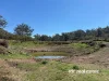 1237 Horton Road, Upper Horton, NSW 2347-Image