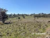 1237 Horton Road, Upper Horton, NSW 2347-Image