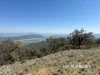 1237 Horton Road, Upper Horton, NSW 2347-Image
