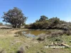 1237 Horton Road, Upper Horton, NSW 2347-Image