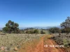 1237 Horton Road, Upper Horton, NSW 2347-Image